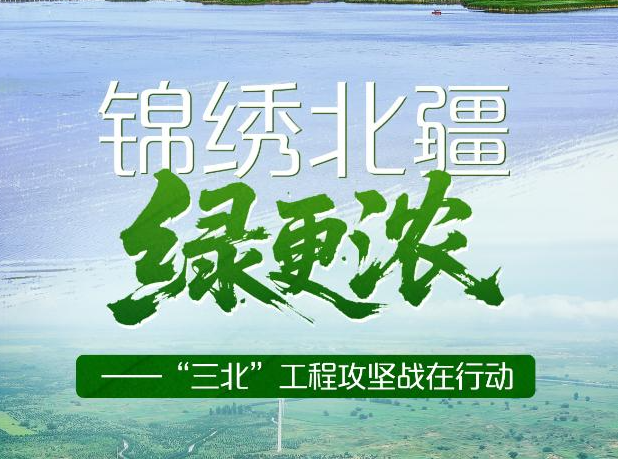习近平总书记关切事丨锦绣北疆绿更浓——“三北”工程攻坚战在行动