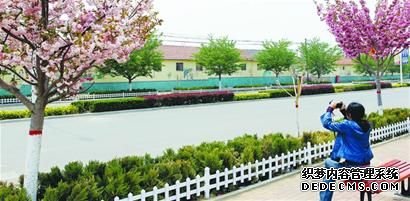 在公园里建城市