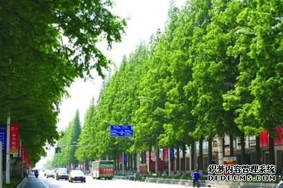 在公园里建城市