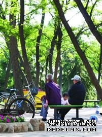 在公园里建城市