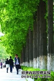 在公园里建城市