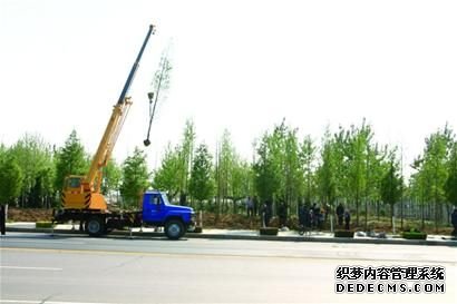 在公园里建城市