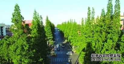 在公园里建城市