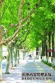 在公园里建城市