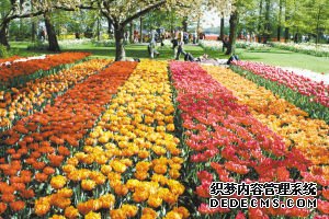 2011赏花游 性价比谁最高(图)