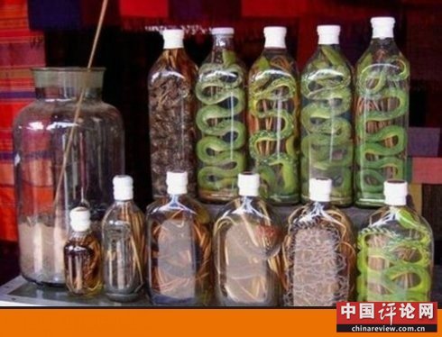 毒蛇泡酒3个月突然窜出咬伤农妇手指(图)