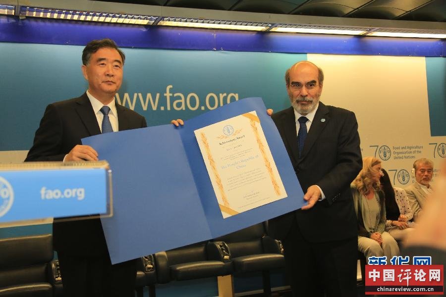 6月7日，在意大利罗马，联合国粮农组织总干事格拉齐亚诺向中国国务院副总理汪洋（左）颁发证书。联合国粮农组织“反饥饿杰出进展”特别活动7日在意大利罗马举行。中国被授予世界粮食峰会目标奖。国务院副总理汪洋出席活动并发表致辞。 新华社记者 王星桥 摄