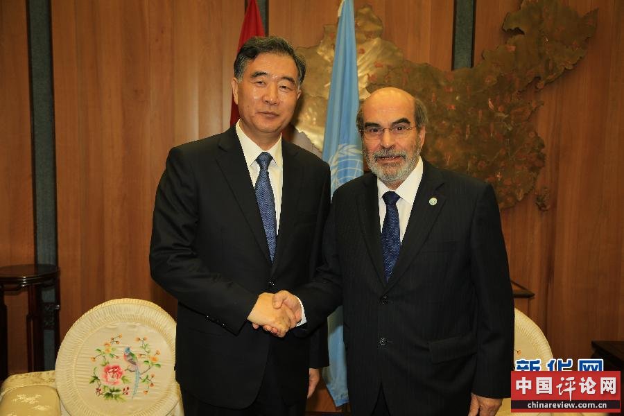 6月7日，在意大利罗马，中国国务院副总理汪洋（左）会见联合国粮农组织总干事格拉齐亚诺。 新华社记者 王星桥 摄