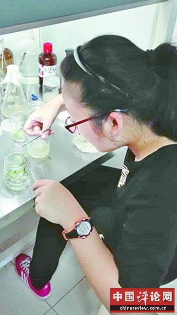 让学生理解和认同中医药文化