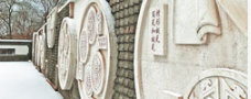 城乡文化如何“变”出来