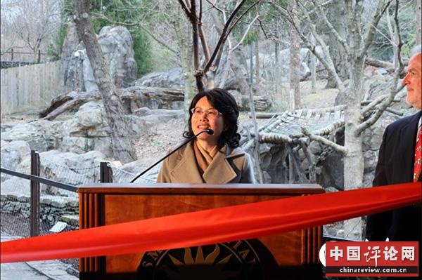 中国驻美国大使馆公使徐学渊在活动上致辞。摄影：高石
