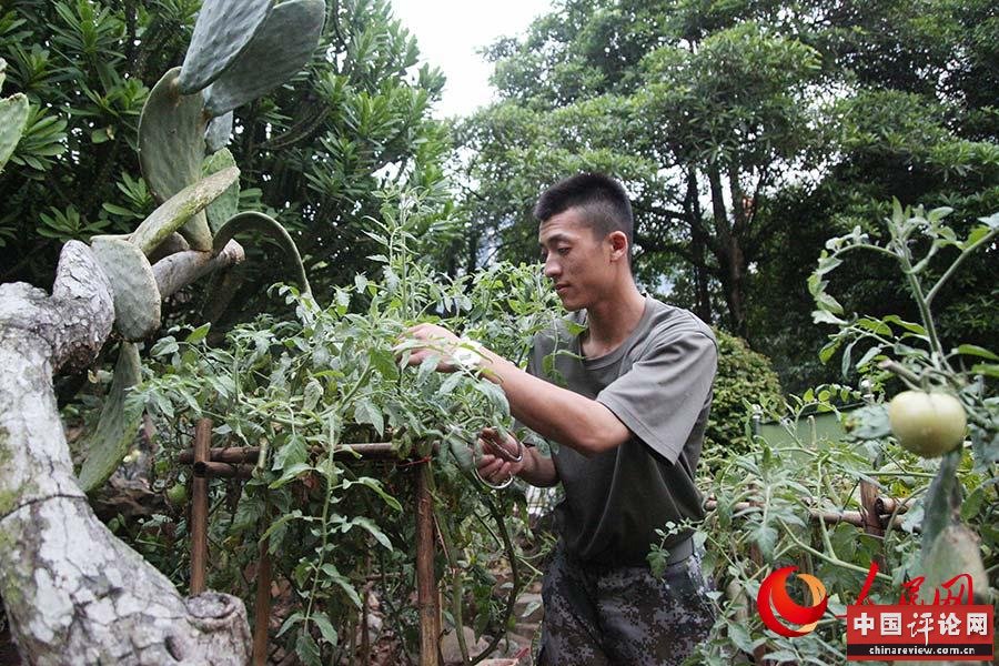 扎根边关的“厚土”哪里来？