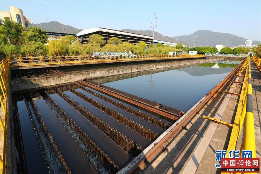 （新华全媒头条·四中全会精神在基层·图文互动）（2）“活优富美”——八闽大地感受“中国之治”的生动样本