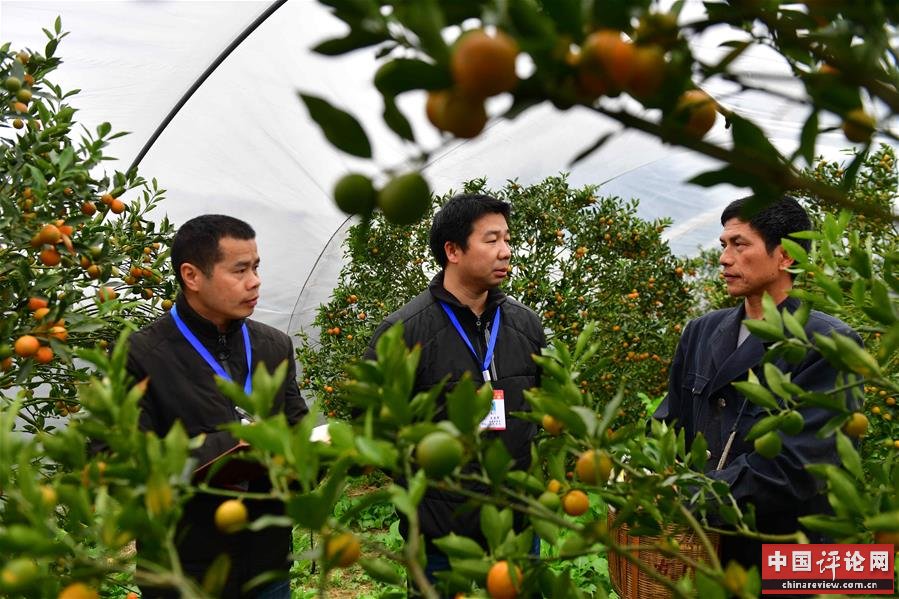 （新华全媒头条·图文互动）（8）以优良作风凝聚决战决胜磅礴力量——2019年以习近平同志为核心的党中央贯彻执行中央八项规定、推进作风建设纪实