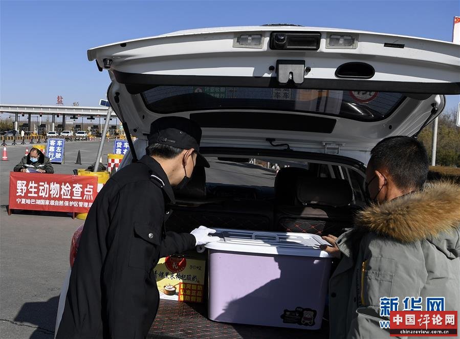 （新华全媒头条·图文互动）（9）以法治为纲 聚保障之力——在法治轨道上推进疫情防控纪实