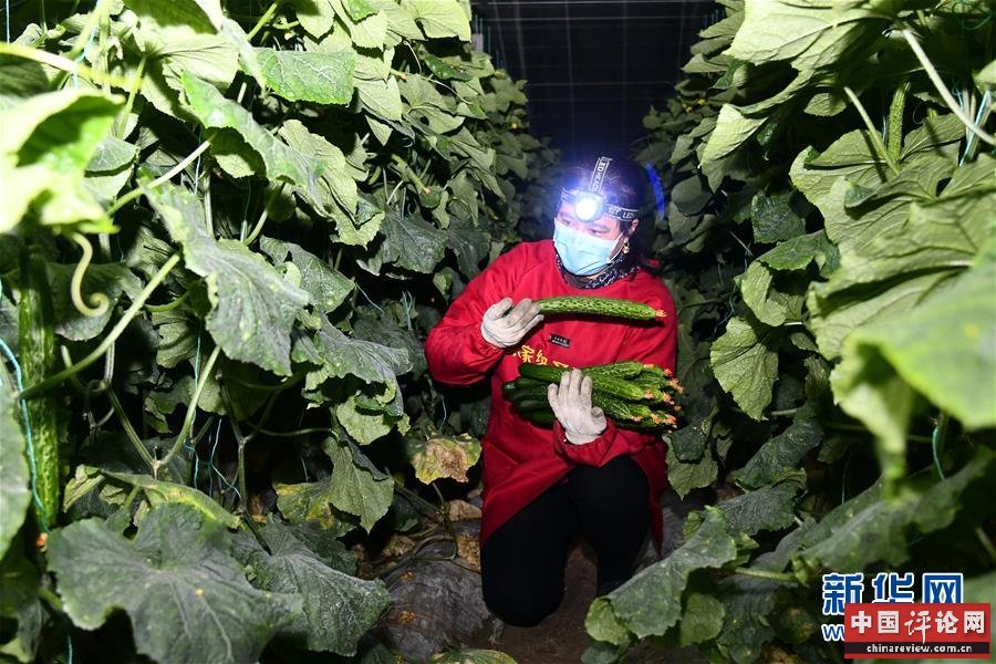（在习近平新时代中国特色社会主义思想指引下——新时代新作为新篇章·习近平总书记关切事·图文互动）（3）“菜篮子”里的力量——全国各地努力做好保障和改善民生工作在行动