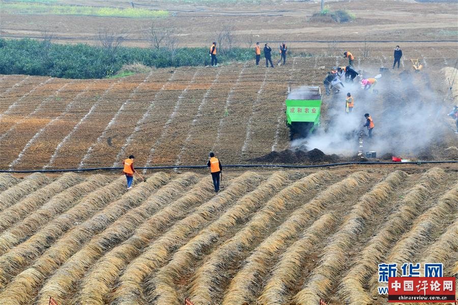 （在习近平新时代中国特色社会主义思想指引下——新时代新作为新篇章·习近平总书记关切事·图文互动）（3）确保不误农时，保障夏粮丰收——各地抓好春耕生产在行动