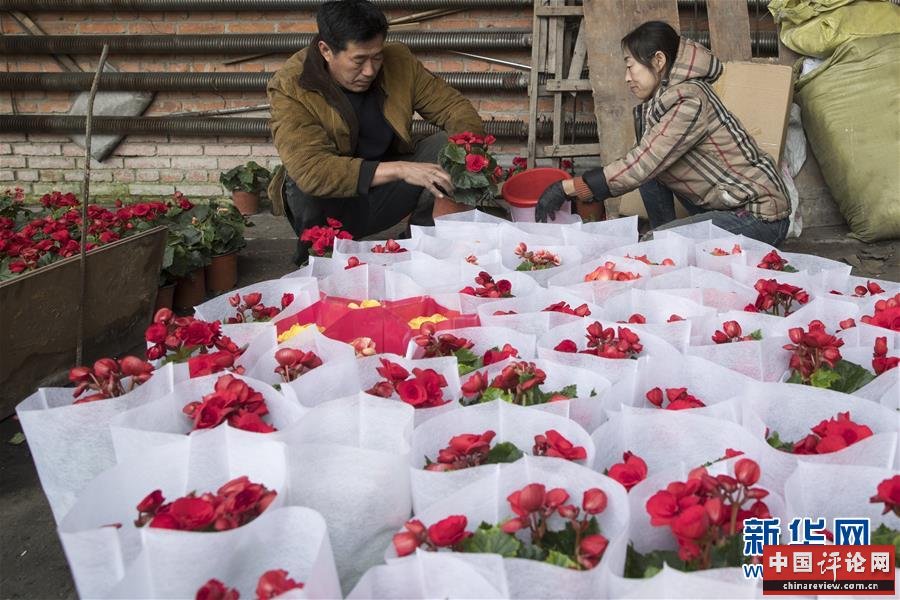 （在习近平新时代中国特色社会主义思想指引下——新时代新作为新篇章·习近平总书记关切事·图文互动）（1）希望的田野，希望的春天——各地农业生产新动态扫描