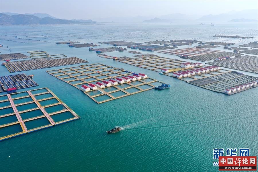 （新华全媒头条·图文互动）（10）永远的梦想 永恒的追求——写在北京世园会开幕一周年之际