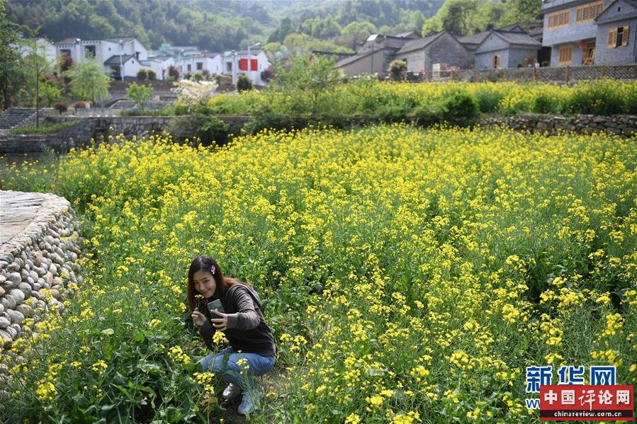 （新华全媒头条·图文互动）（10）红土地上的“绿色减贫”决战——大别山“将军县”金寨脱贫纪实