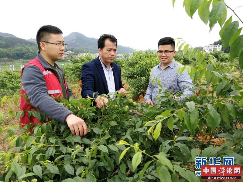 （新华全媒头条·图文互动）（6）八桂大地上的青春之歌——记奋战在广西脱贫攻坚一线的“黄文秀式”干部