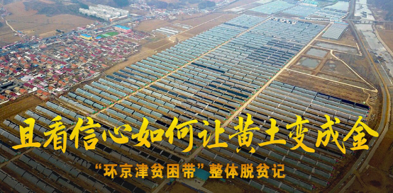 且看信心如何让黄土变成金——“环京津贫困带”整体脱贫记