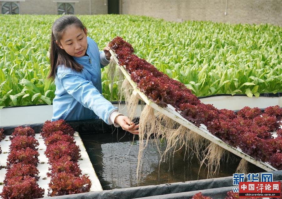 （新华全媒头条·图文互动）（2）习近平的扶贫故事