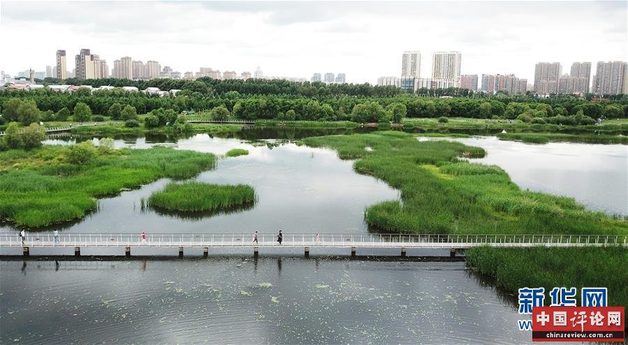 （走向我们的小康生活·图文互动）（1）水清、地绿、空气新——最北省份黑龙江绘就生态治理新画卷