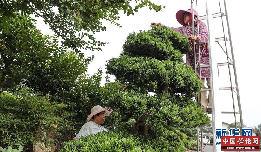 （走向我们的小康生活·图文互动）（4）水清岸美产业兴——江苏南通小康路上的绿色实践