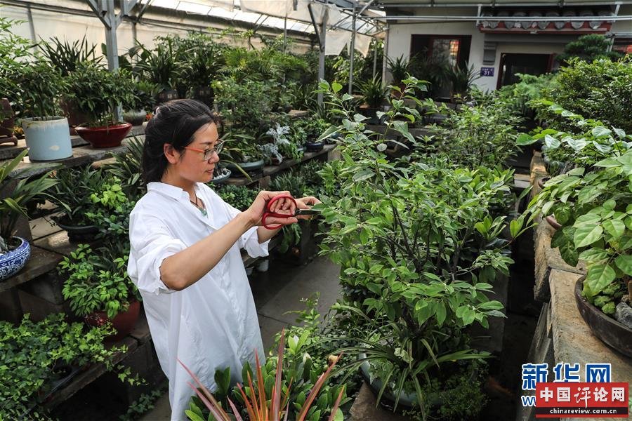 （走向我们的小康生活·图文互动）（5）水清岸美产业兴——江苏南通小康路上的绿色实践