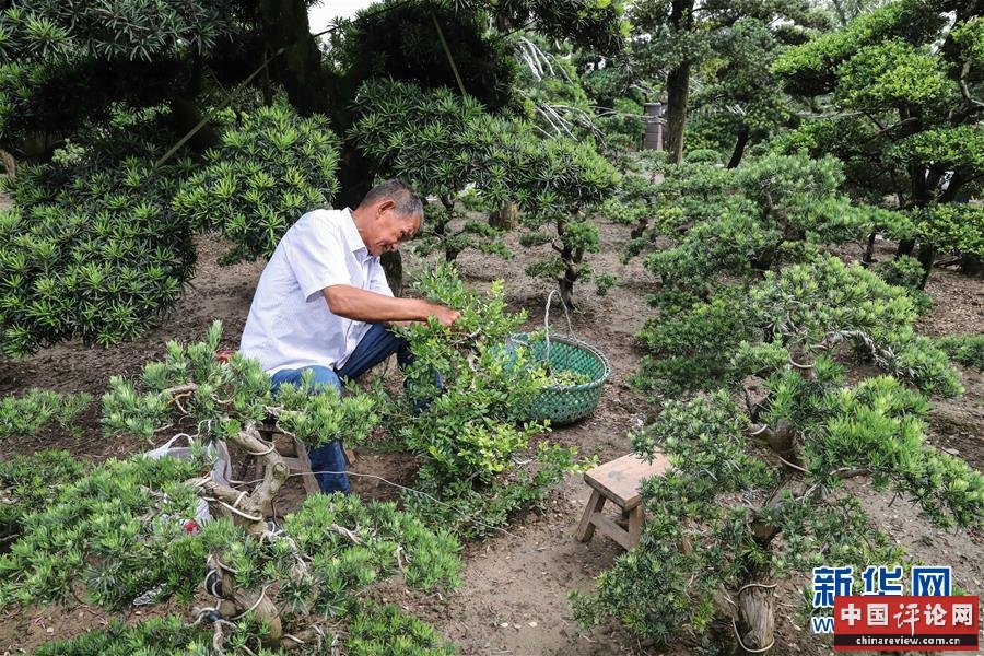 （走向我们的小康生活·图文互动）（3）水清岸美产业兴——江苏南通小康路上的绿色实践