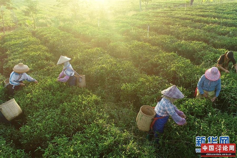 (新华全媒头条·走向我们的小康生活·图文互动)(7)留住乡愁留住美——千村竞秀缀琼州