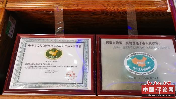 图为2015年，隆子黑青稞成为中国国家地理标志保护产品。　张伟 摄