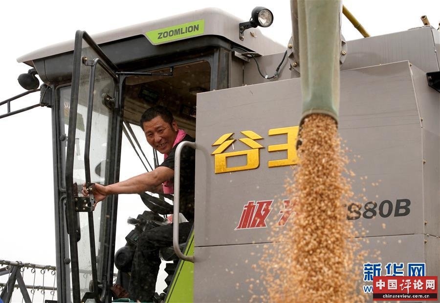 （在习近平新时代中国特色社会主义思想指引下——新时代新作为新篇章·习近平总书记关切事·图文互动）（3）食为政首——稳住农业基本盘增添发展底气