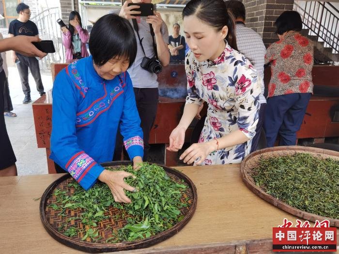 图为国家级六堡茶制作技艺非遗传承人韦洁群(左)与女儿石濡菲正在为刚采摘的茶叶杀青。　杨陈 摄