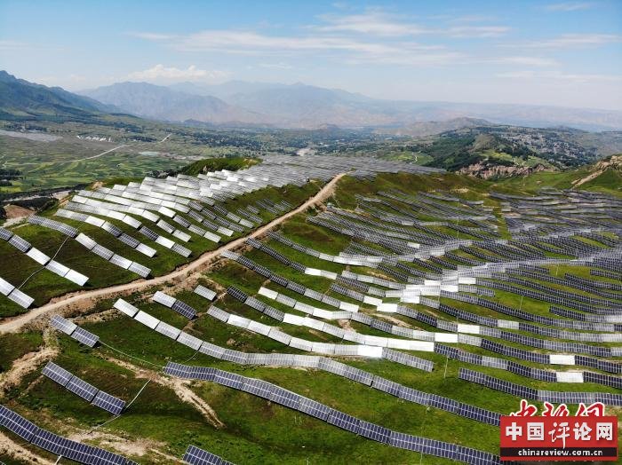 甘肃无围墙“养殖场”：“光伏养鸡”成贫困户增收新产业