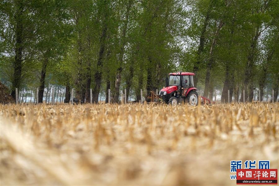 （在习近平新时代中国特色社会主义思想指引下——新时代新作为新篇章·习近平总书记关切事·图文互动）（5）让百姓吃得饱还要吃得好——夯实粮食安全基础端牢中国饭碗