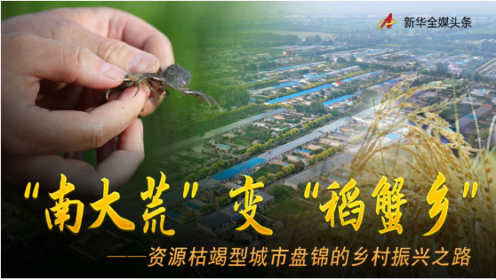 “南大荒”变“稻蟹乡”——资源枯竭型城市盘锦的乡村振兴之路