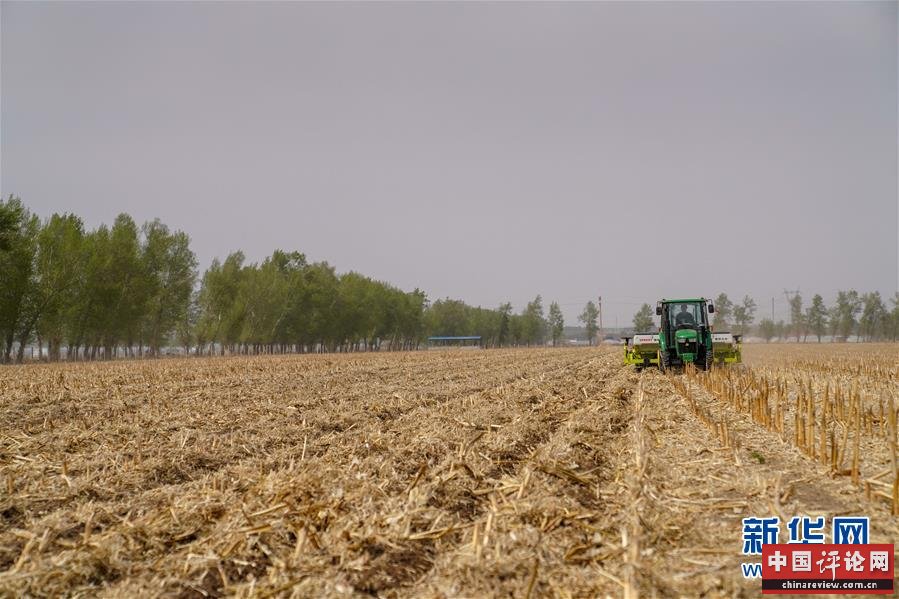 （在习近平新时代中国特色社会主义思想指引下——新时代新作为新篇章·习近平总书记关切事·图文互动）（6）为黑土加“油”——“耕地中的大熊猫”，我们这样保护