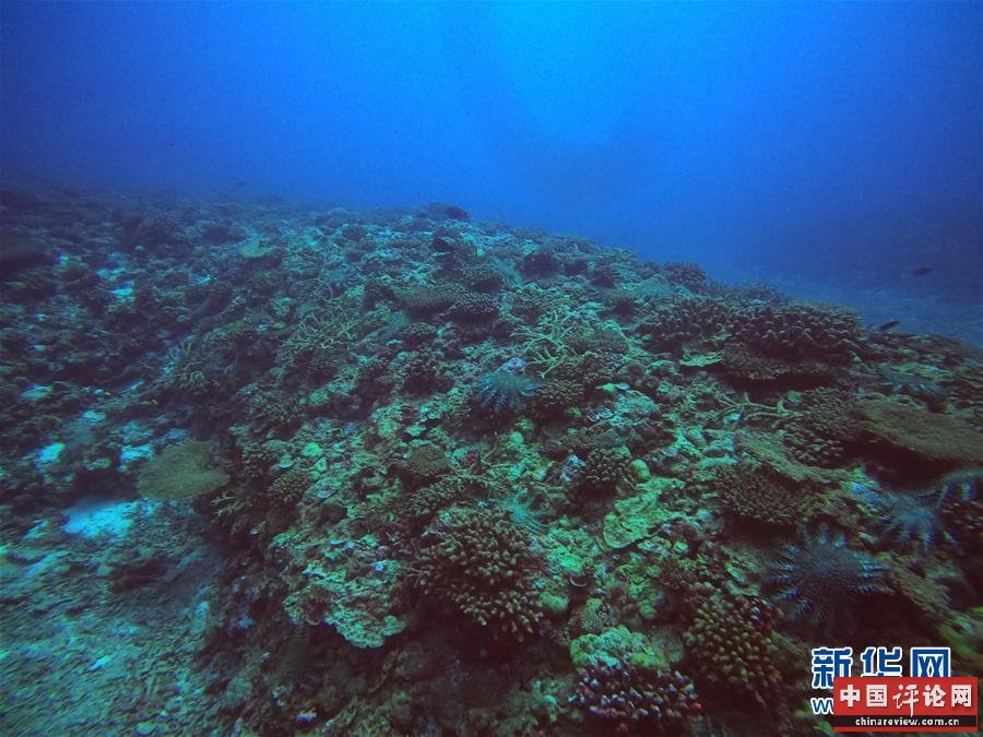 （图文互动）（1）中沙群岛综合科学考察项目2020年度综合航次任务完成