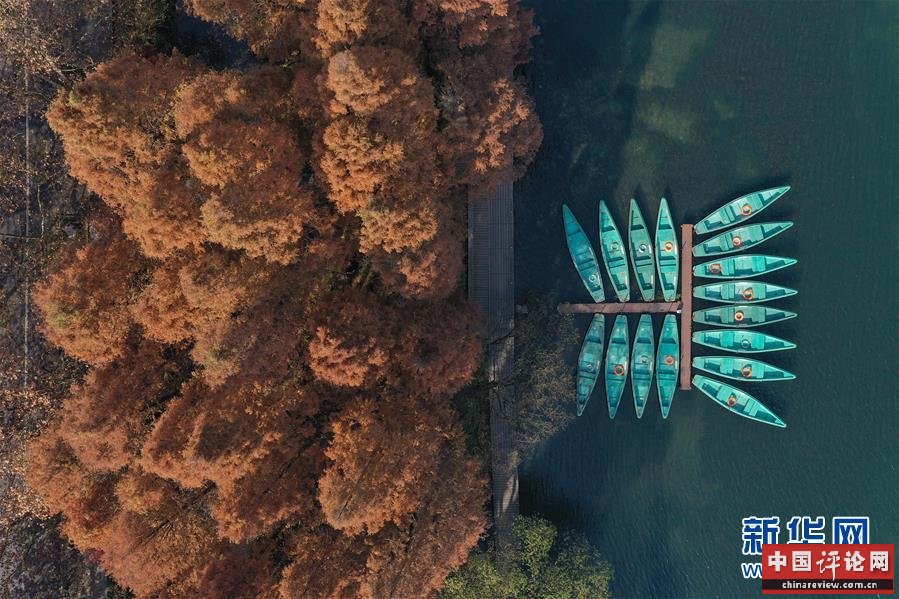 （新华全媒头条·图文互动）（8）钱塘今朝更繁华——高水平小康的“杭州答卷”