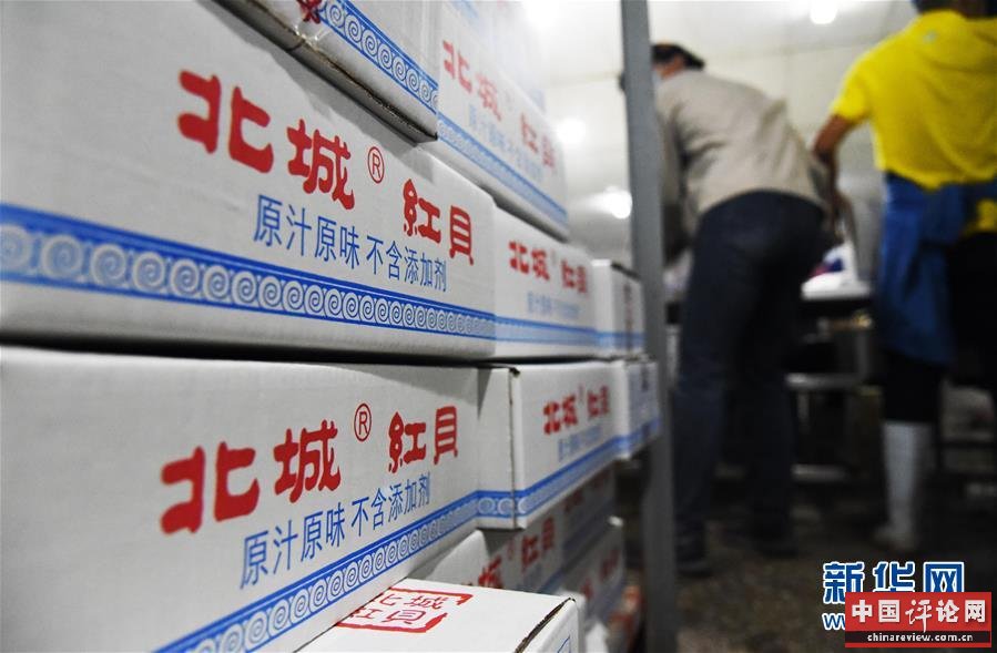 （走向我们的小康生活·图文互动）（2）长岛渔民的扇贝喜事：从请客求人买到供不应求