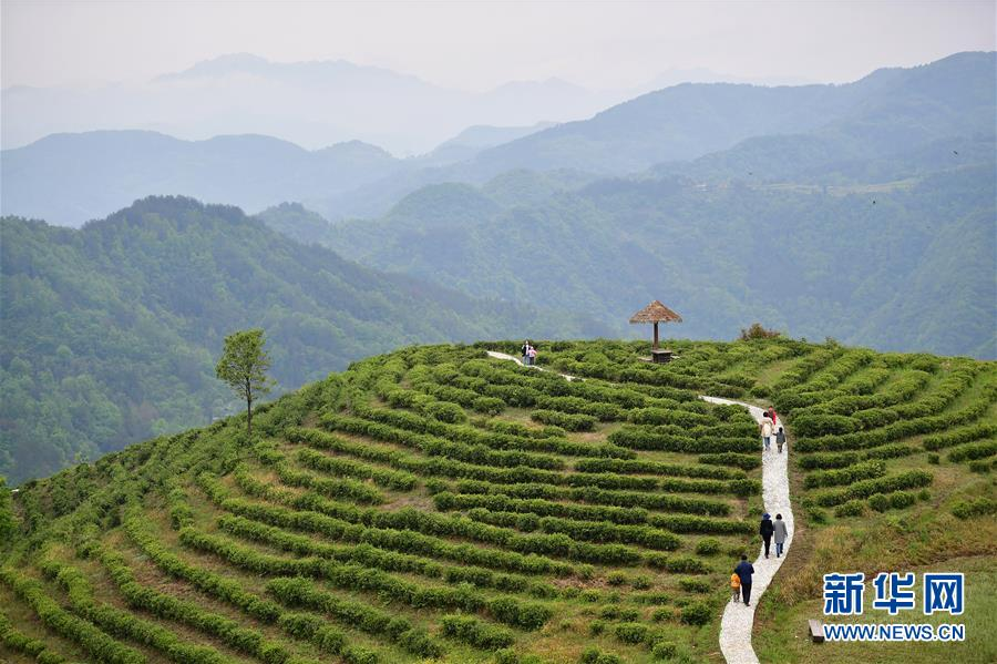 蹚出绿色小康路——陕南秦巴山区的脱贫答卷