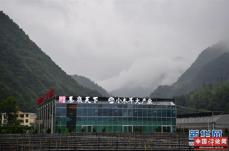 （新华全媒头条·走向我们的小康生活·图文互动）（3）蹚出绿色小康路——陕南秦巴山区的脱贫答卷