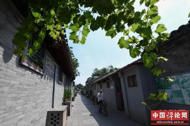 ▲市民骑行在北京市东城区草厂四条胡同（6月12日摄）。新华社记者 鞠焕宗 摄