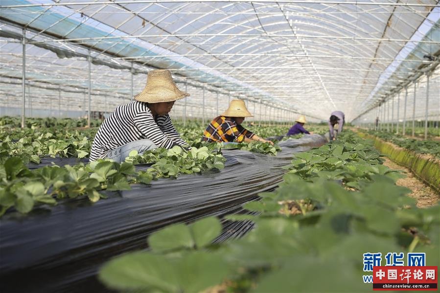 （新华全媒头条·决战决胜脱贫攻坚·督战未摘帽贫困县·图文互动）（12）不获全胜，决不收兵——全国52个挂牌督战贫困县脱贫攻坚纪实