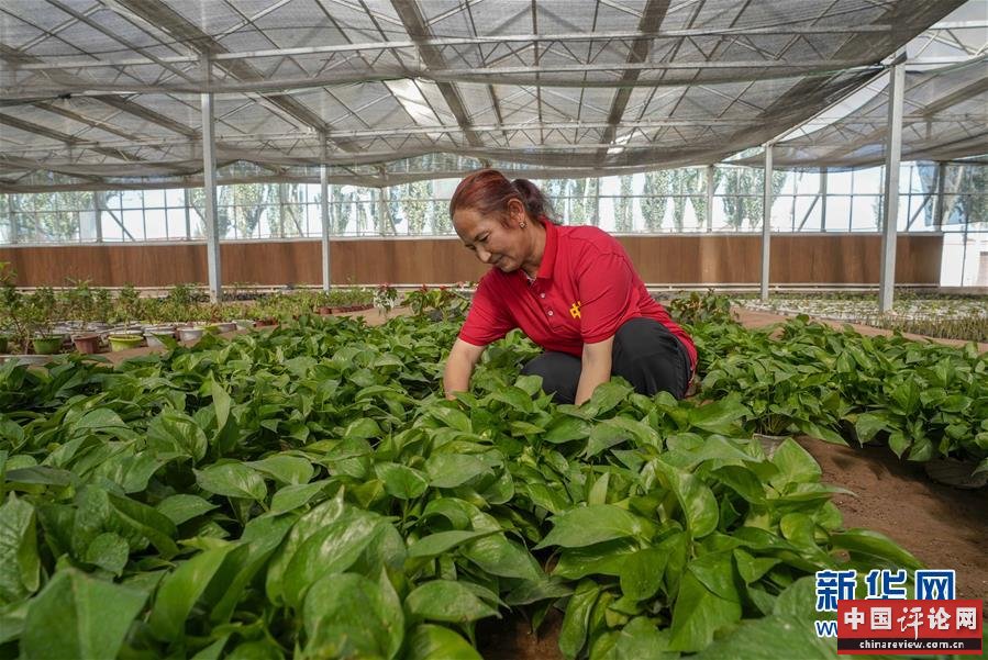 (新华全媒头条·图文互动)(11)旗引天山南北 谱写发展新篇——以习近平同志为核心的党中央关心新疆工作纪实