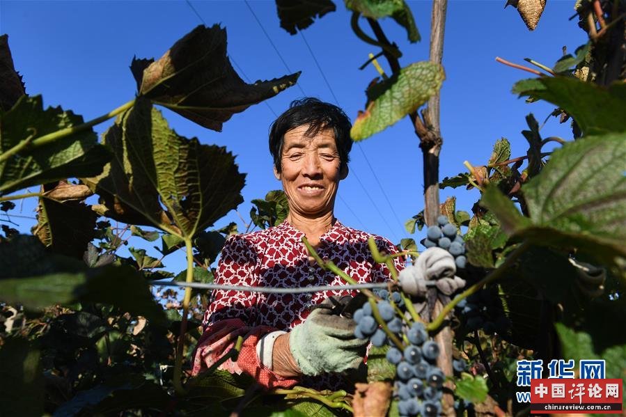 （集中连片特困地区贫困村调研行·图文互动）（4）又整新鞍马蹄轻——内蒙古喀喇沁旗马鞍山村脱贫调查