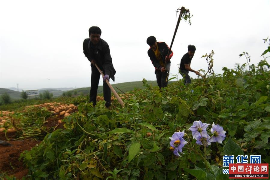 （新华全媒头条·走向我们的小康生活·决战决胜脱贫攻坚·图文互动）（6）昭通之变——全国贫困人口最多的地级市跨越记