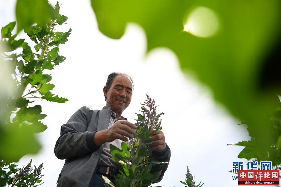 （新华全媒头条·图文互动）（12）大山的回响——三个民族自治县的70年巨变